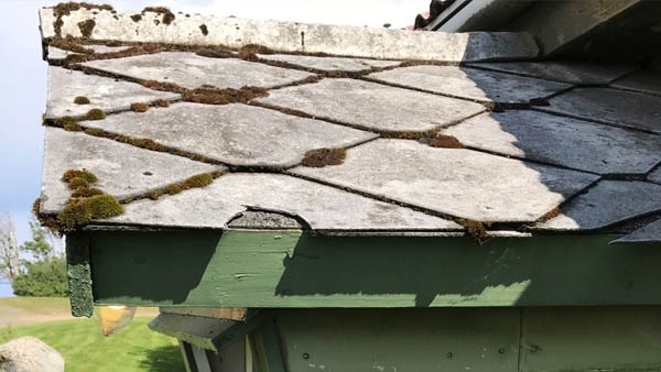 Bildet viser et gammelt tak som er delvis overgrodd av mose. Taket har ruterformede takplater som ser ut som skiferplater.