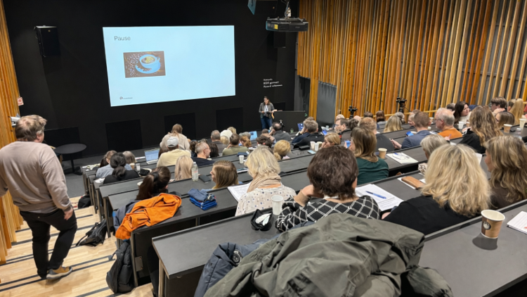 Bildet viser et auditorium fullt av folk. Foran står en ansatt i Arbeidstilsynet.