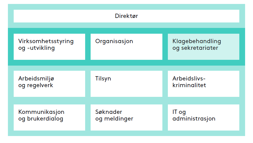 Overordnet organisasjonskart for Arbeidstilsynet, som viser organisering med direktør, direktorat og ytre etat.