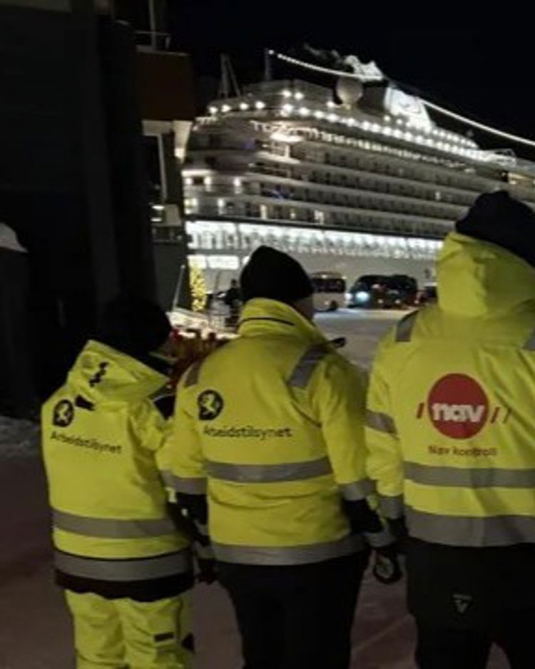 fem personer står med ryggen til foran et cruisskip og på ryggen vises logoene til arbeidstilsynet, nav og skatteetaten